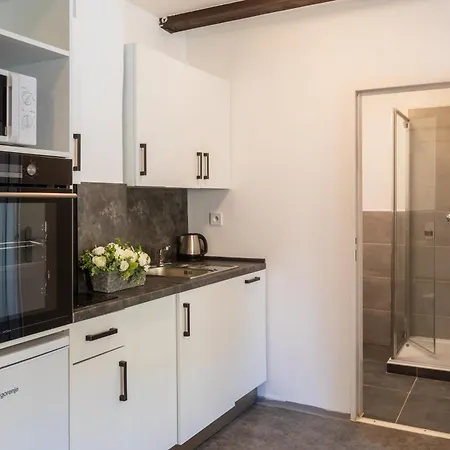 Apartment Otakarova *