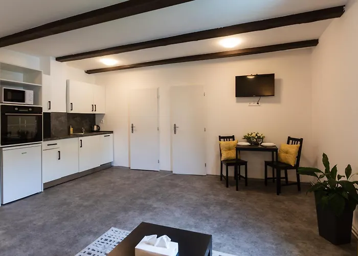 Otakarova 아파트 *