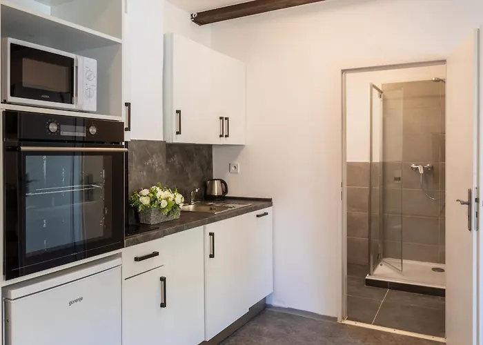 Apartment Otakarova *